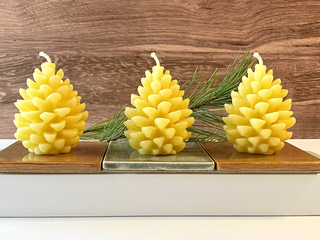 BEESWAX PINECONE CANDLES